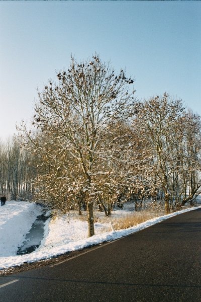 2004010209 sneeuw